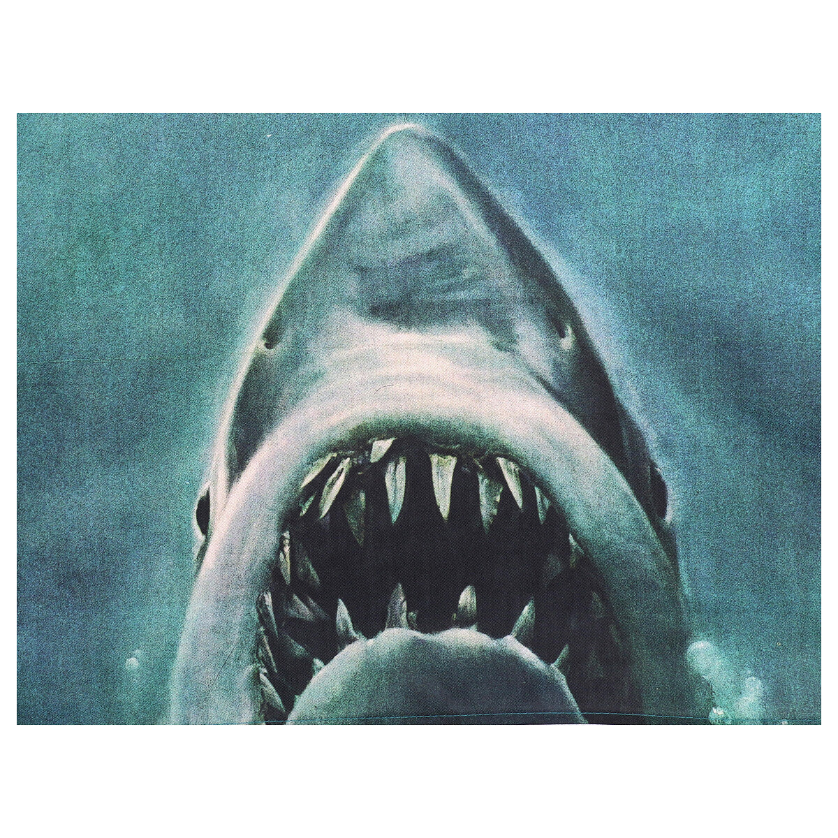 Delantal Tiburón – Jaws