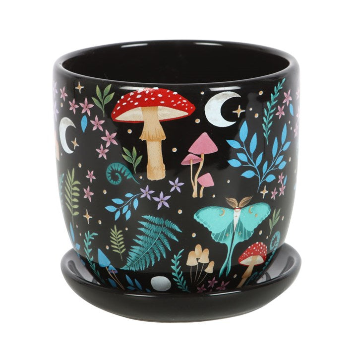 Maceta Bosque Oscuro – Dark Forest
