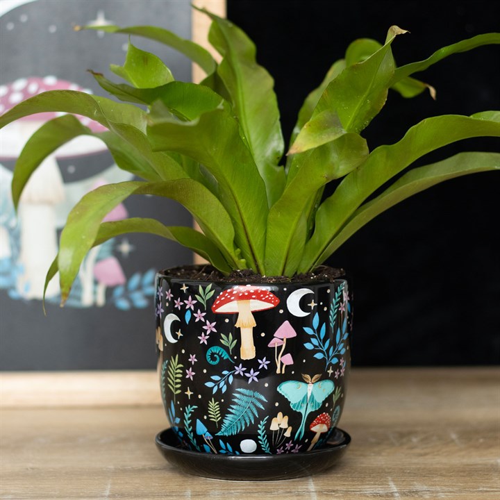 Maceta Bosque Oscuro – Dark Forest