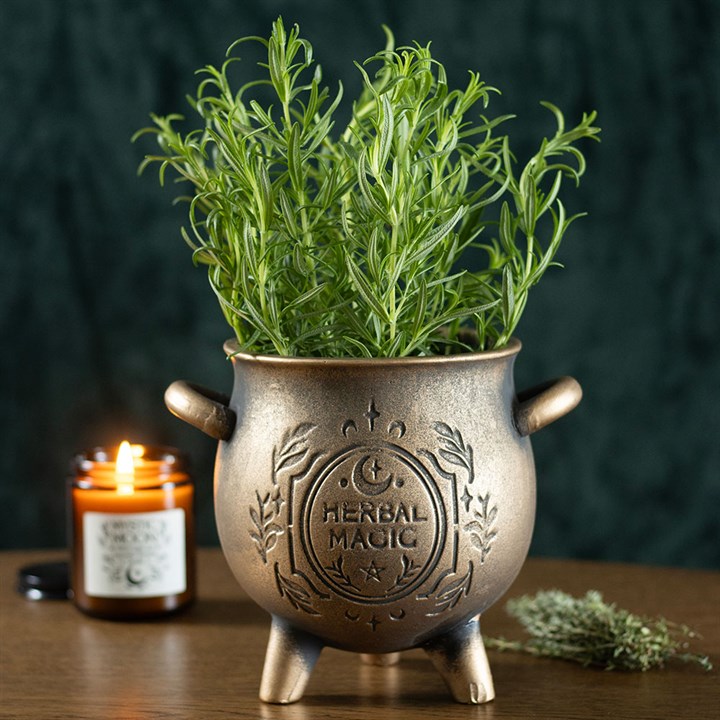 Maceta Caldero Herbal Magic