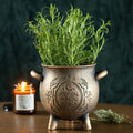 Maceta Caldero Herbal Magic