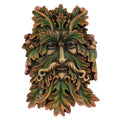 Placa Decorativa Green Man